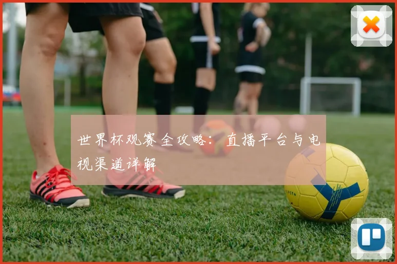 世界杯观赛全攻略：直播平台与电视渠道详解