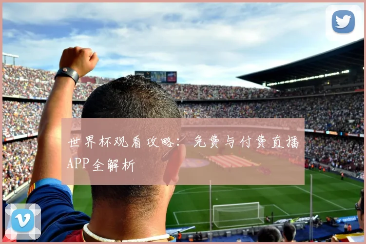 世界杯观看攻略：免费与付费直播APP全解析
