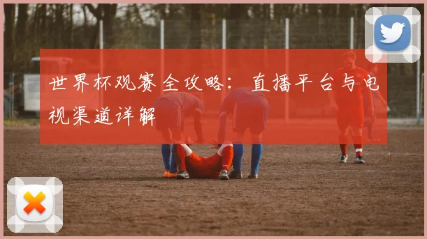 世界杯观赛全攻略：直播平台与电视渠道详解