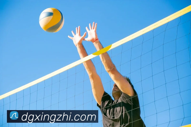 leyu乐鱼在线登录入口平台生态图