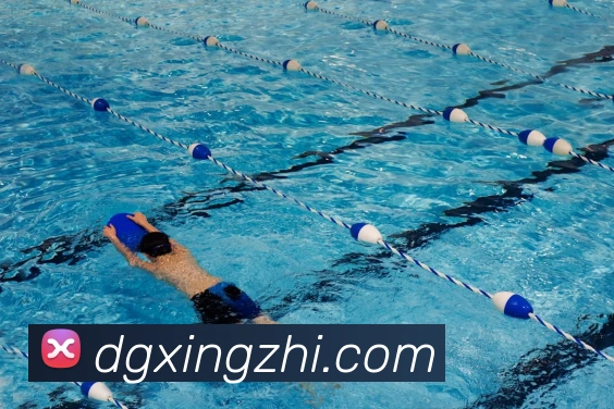 leyu乐鱼在线登录入口APP 封面图